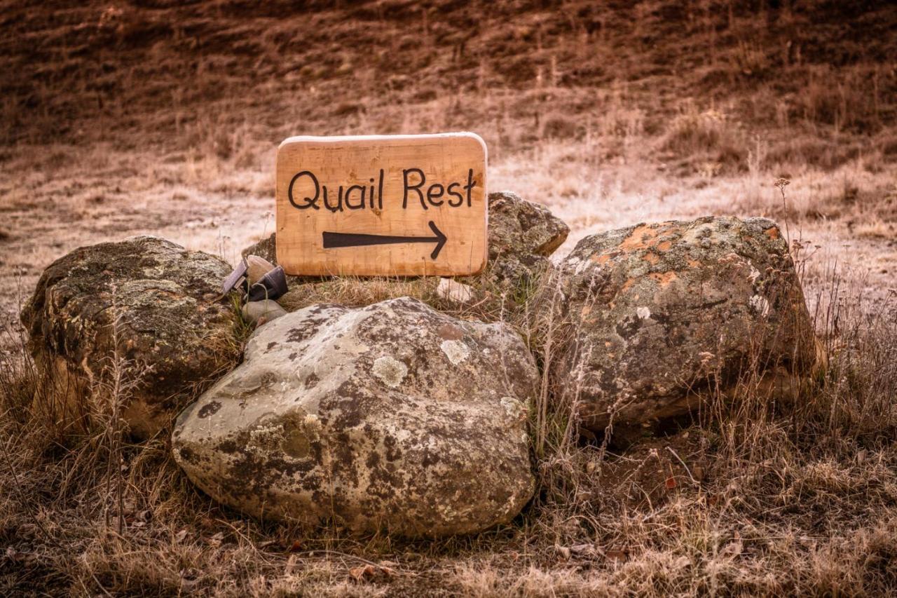 Vila Quail Rest Twizel Exteriér fotografie