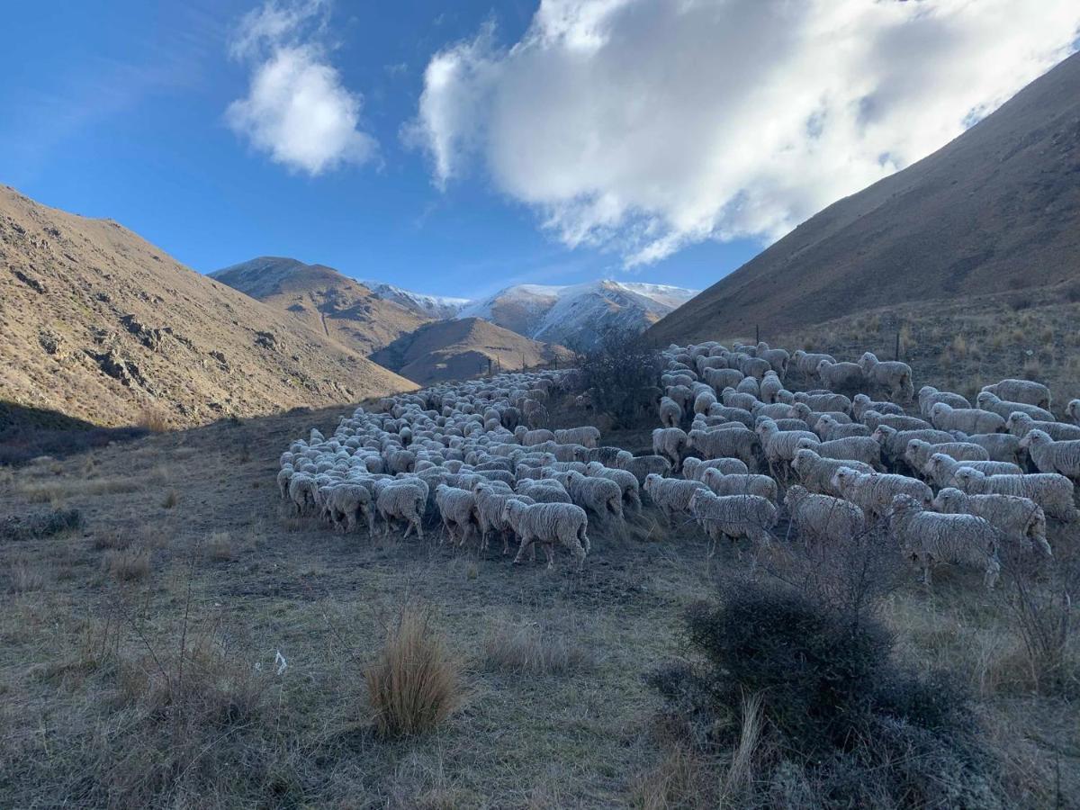 Vila Quail Rest Twizel Exteriér fotografie